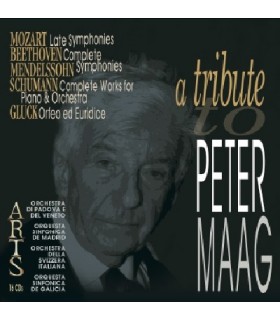 A tribute to Peter Maag