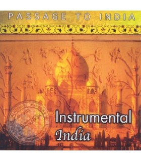 INSTRUMENTAL INDIA