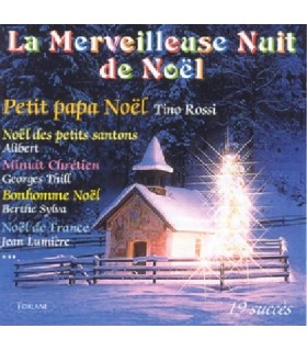 MERVEILLEUSE NUIT DE NOEL