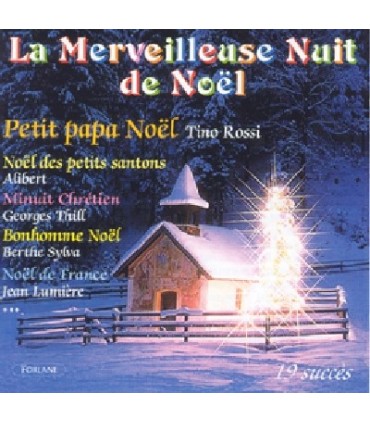 MERVEILLEUSE NUIT DE NOEL