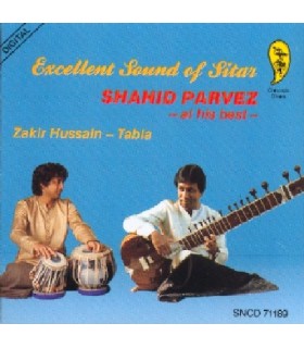 Excellent Sound of Sitar