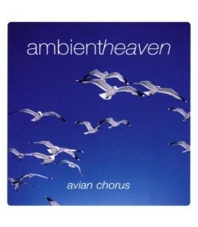 Avian Chorus