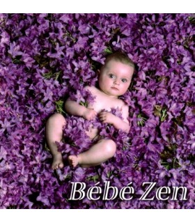 Bebe ZEN