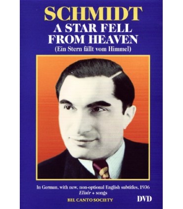 A Star Fell From Heaven