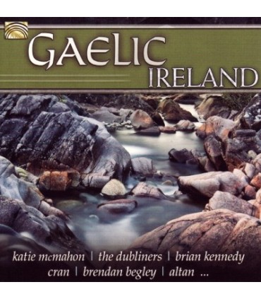 Gaelic Ireland