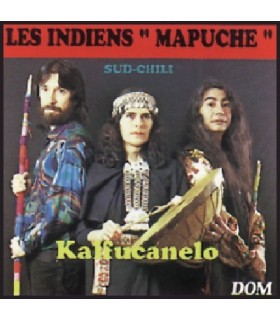 Les Indiens MAPUCHE