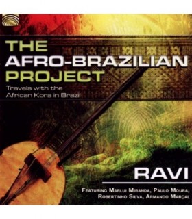 The Afro-Brazilian Project