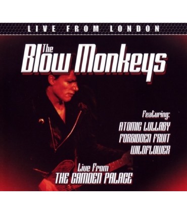 Live from the Camden Palace