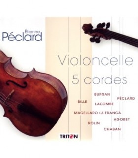 Violoncelle 5 cordes