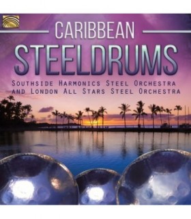 Caribbean Steeldrums