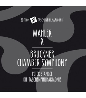 Chamber Symphony-Symphony No10