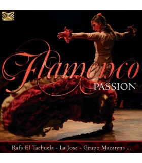 Flamenco Passion